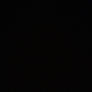 Meet your Posher, Finley